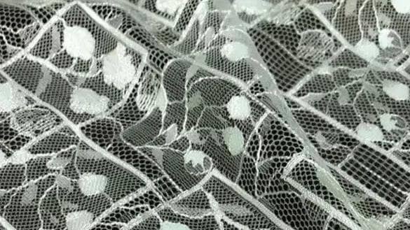 A type of lace fabric known as Embroidered Lace.