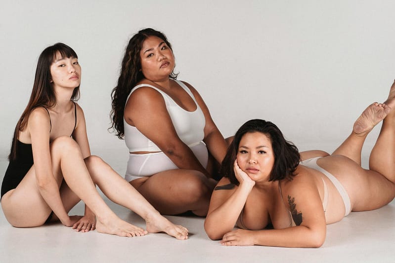 The picture is a group photo of three human women, two of whom are larger and wearing plus-size clothing
