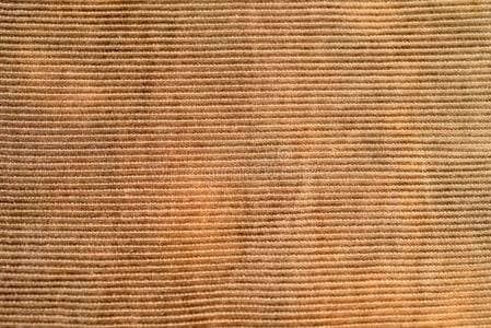 Here's a detailed view of Corduroy fabrics