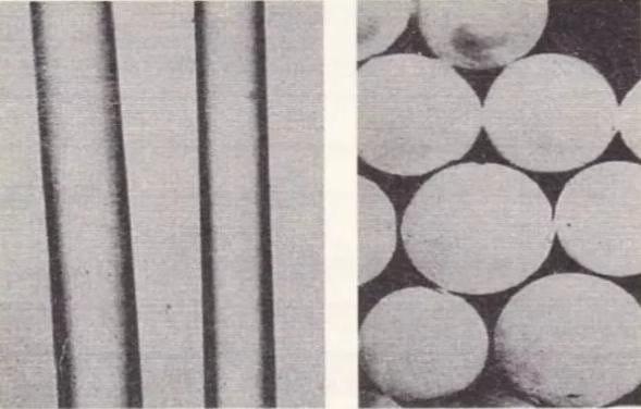 Longitudinal and transverse morphological structure of polypropylene fibers