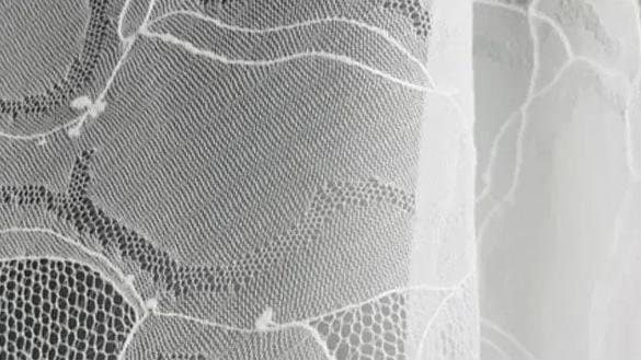 A type of lace fabric known as Clip Cord Lace.