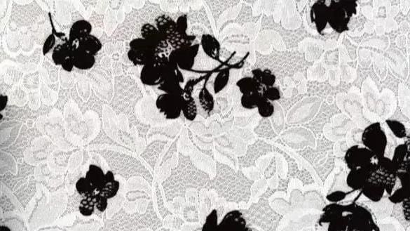 A type of lace fabric known as Printed Lace.