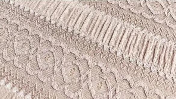 A type of lace fabric known as 3D Lace (Relief Lace).